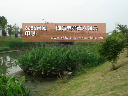 案例展示四(图1)