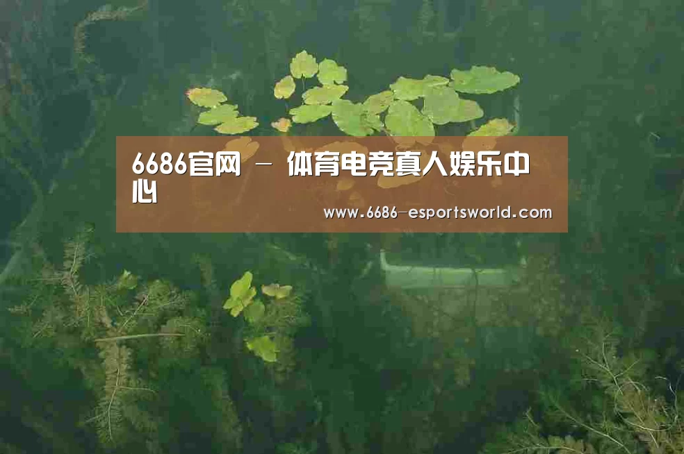 案例展示三(图1)