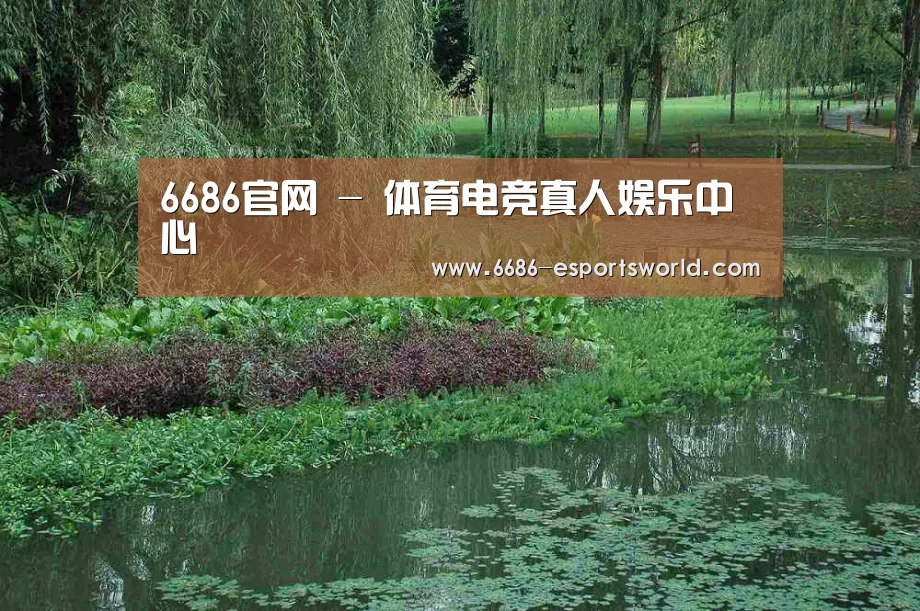 案例展示一(图1)