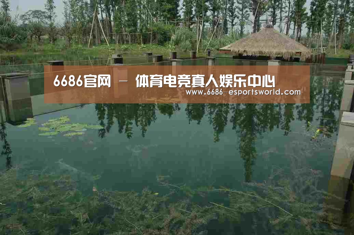 案例展示二(图1)