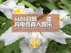 产品名称二