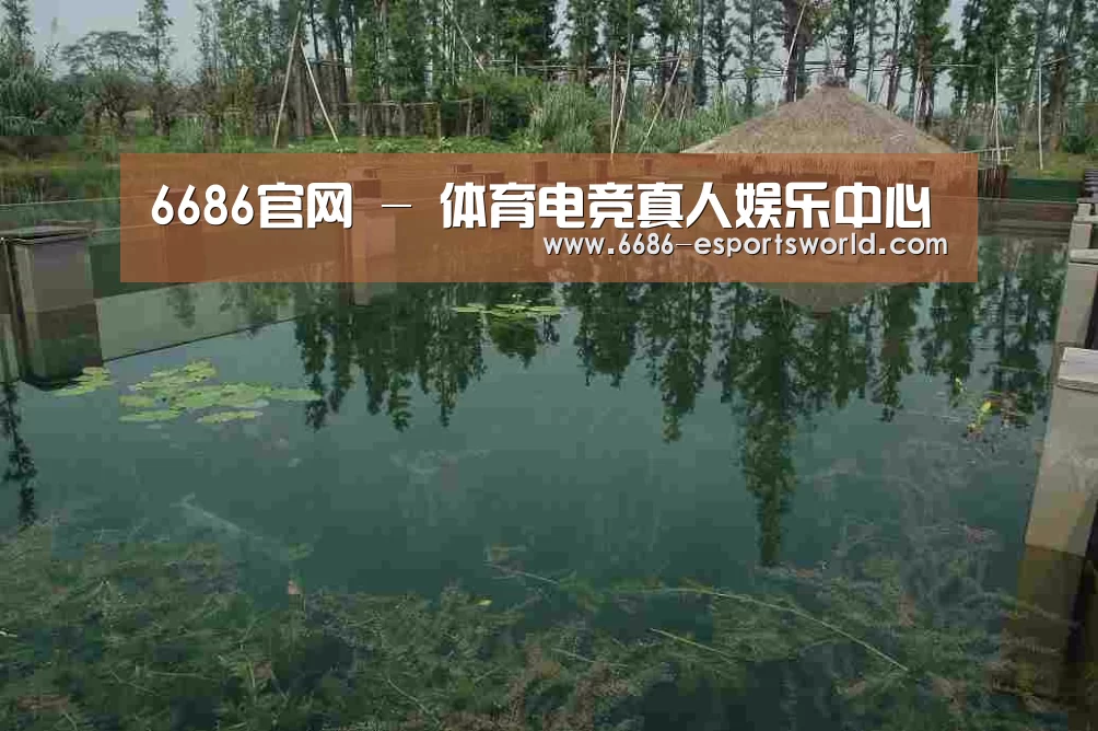 案例展示二