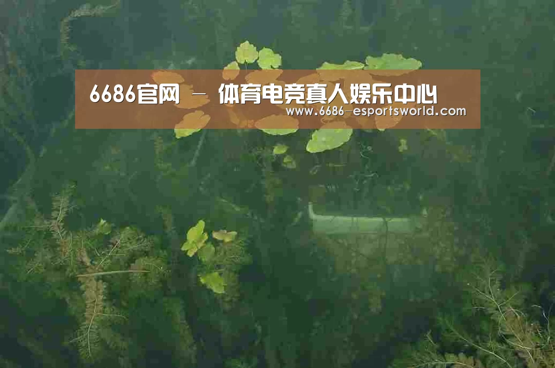 案例展示三