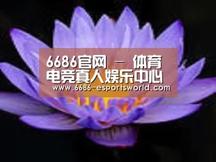 产品名称六