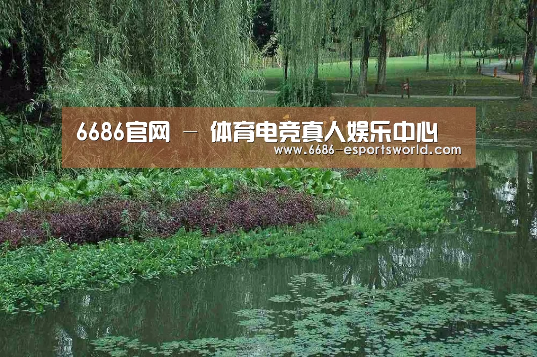 案例展示一