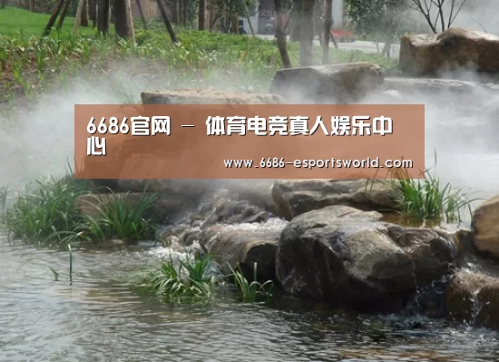 案例展示五