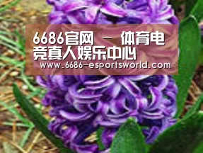 产品名称八