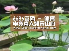 产品名称一
