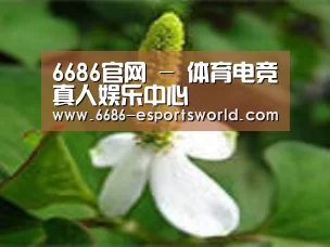 产品名称三