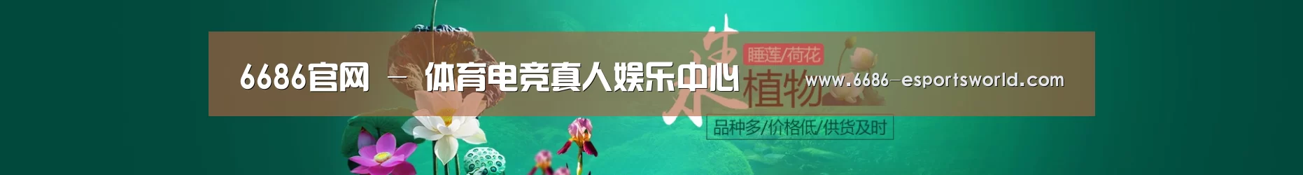 鲜花水草花卉网站模板